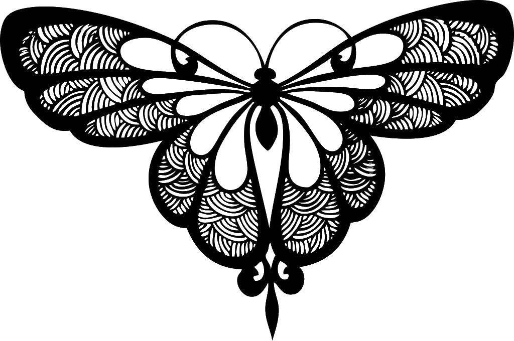 Coloring Butterfly. Category butterflies. Tags:  butterfly.