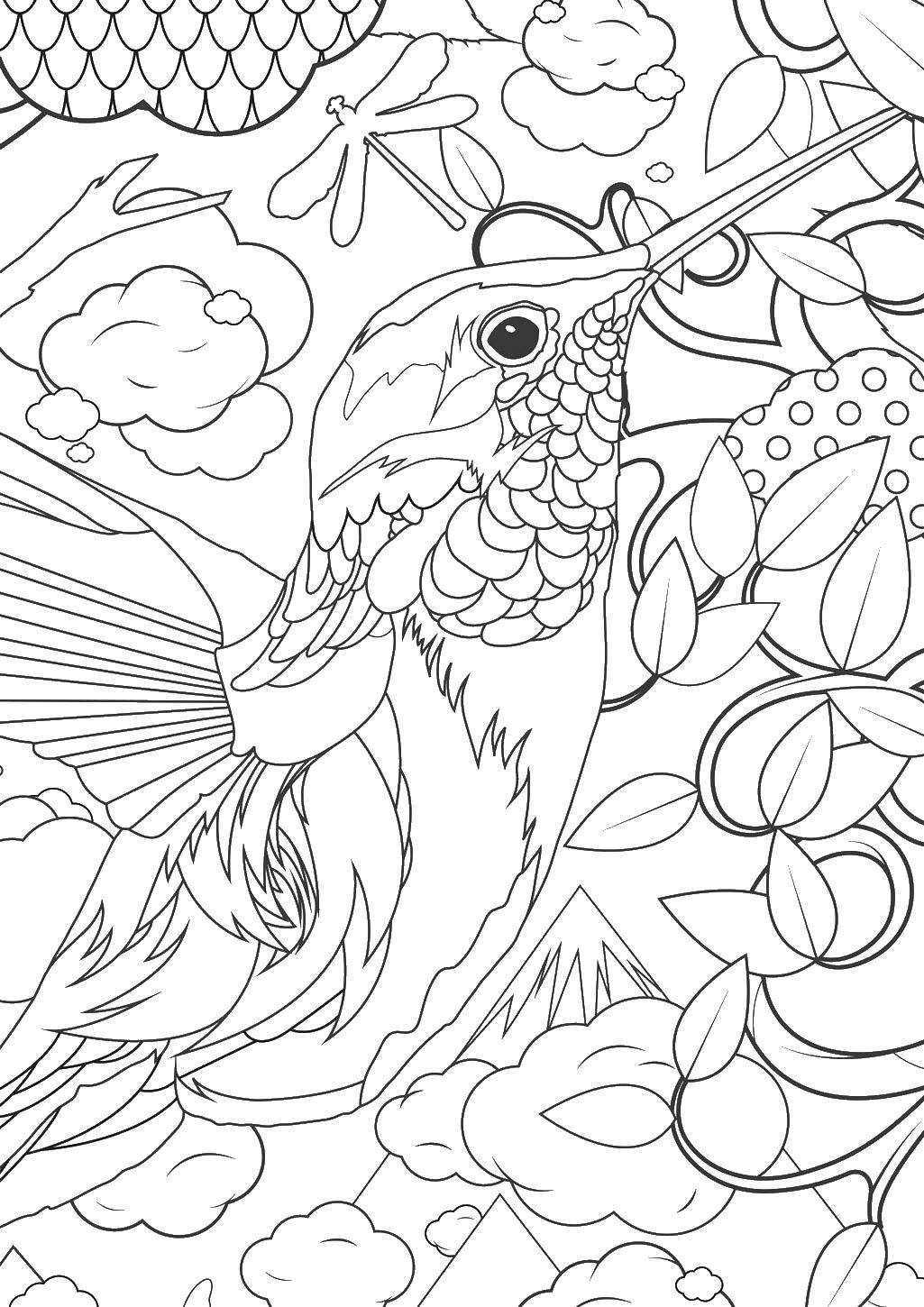 Coloring A bird in the leaves. Category birds. Tags:  the bird, leaves, dragonfly.