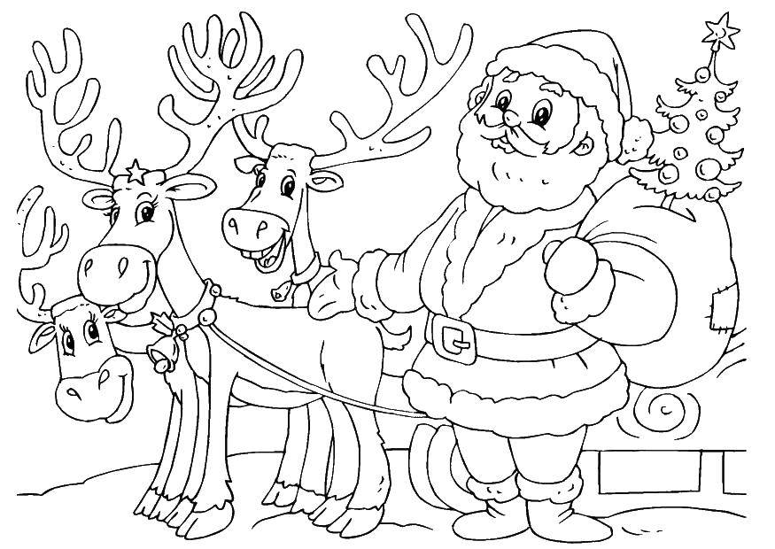 Coloring Santa Claus and reindeer. Category Christmas. Tags:  Santa Claus, sleigh, reindeer.