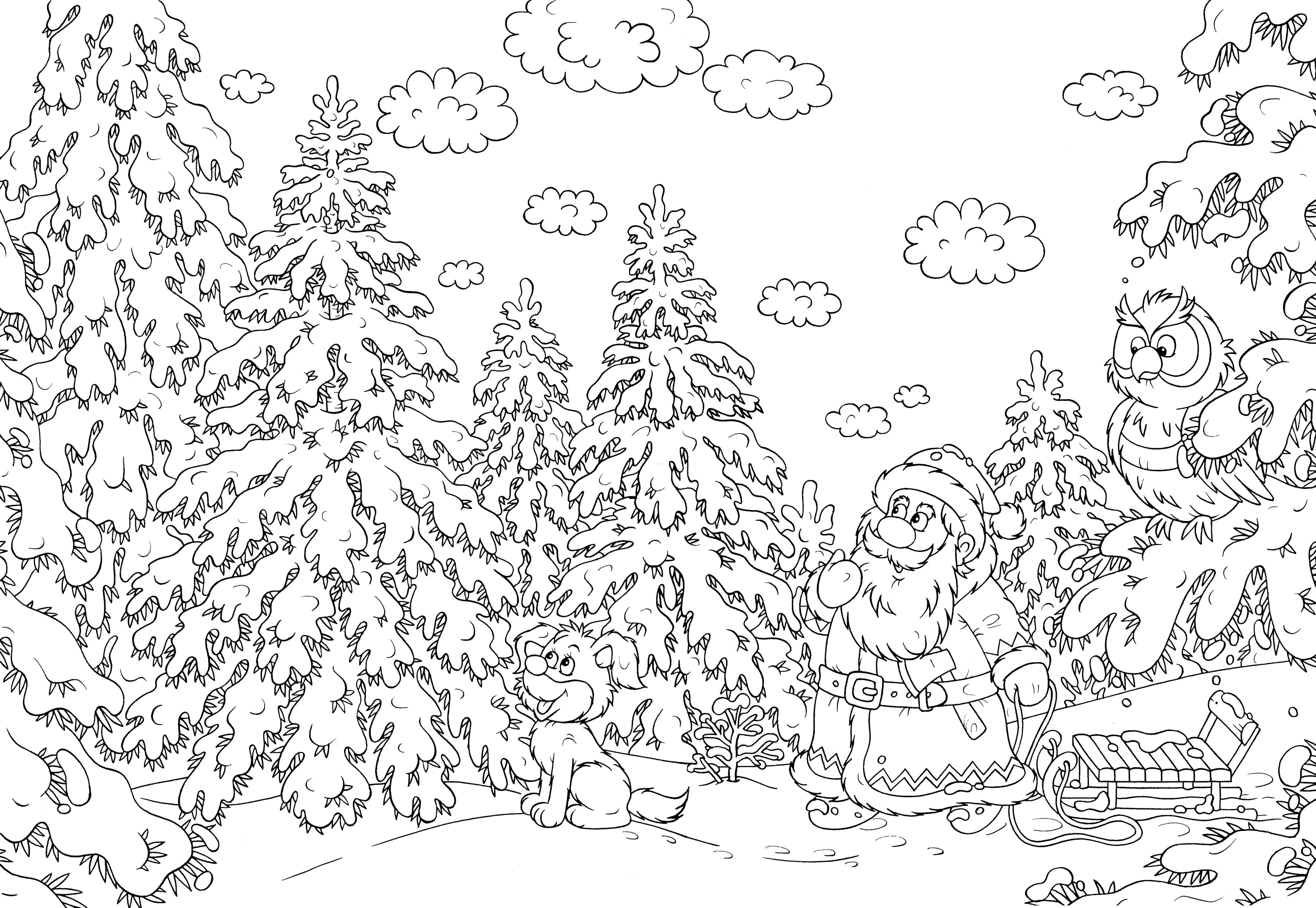 Coloring Santa Claus with sleigh in the woods. Category new year. Tags:  new year, Christmas tree, Santa Claus.