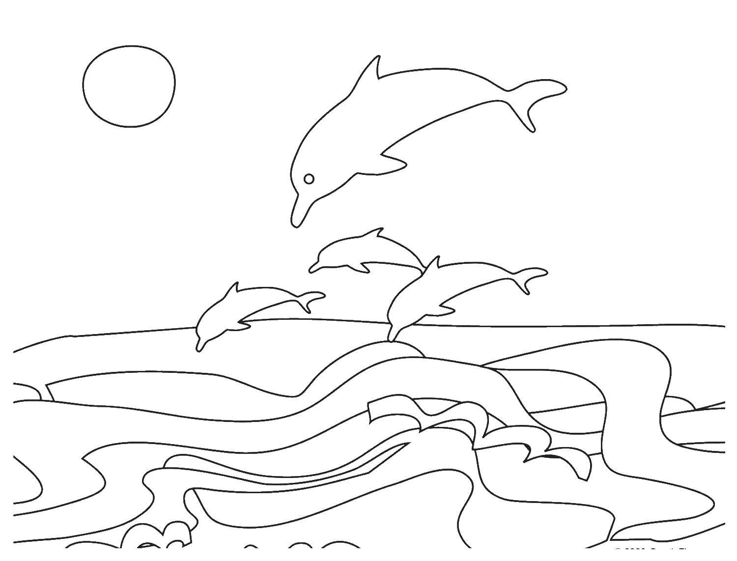 Coloring Dolphins in the ocean. Category dolphins. Tags:  Dolphins, sea.