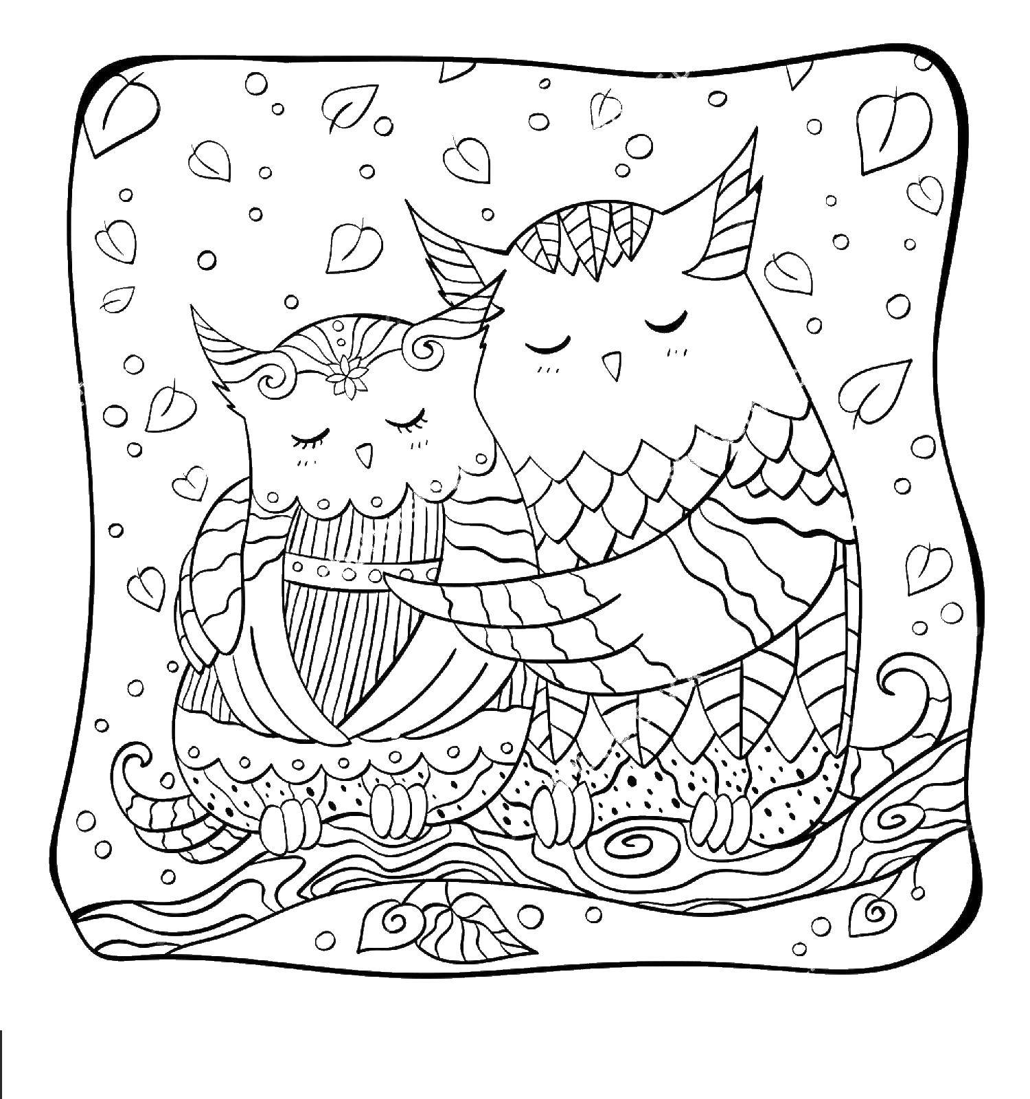 Coloring Owls hugging. Category Valentines day. Tags:  Valentines day, greetings, owls.
