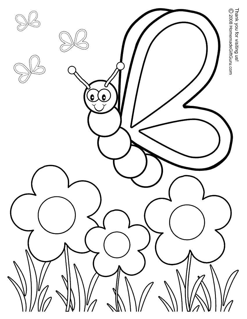 Coloring Butterfly around flowers. Category butterflies. Tags:  insects, butterfly, flowers.