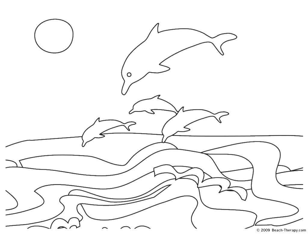 Название: Раскраска Дельфины. Категория: дельфин. Теги: дельфины, рыбы, море.