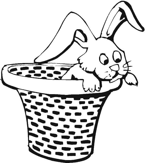 Название: Раскраска Кролик в корзине. Категория: кролик. Теги: кролик, заяц.