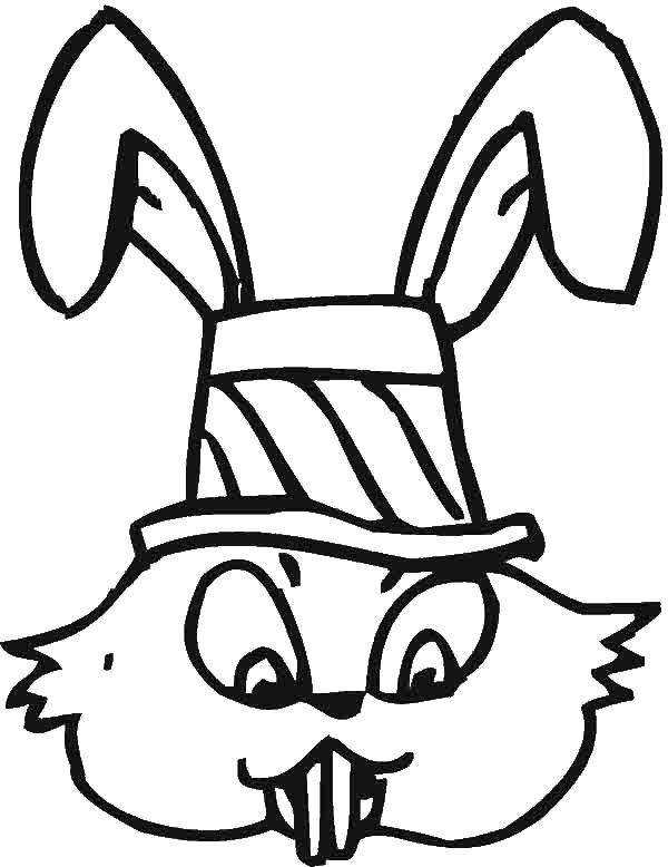 Название: Раскраска Кролик. Категория: кролик. Теги: животные, кролик, заяц.