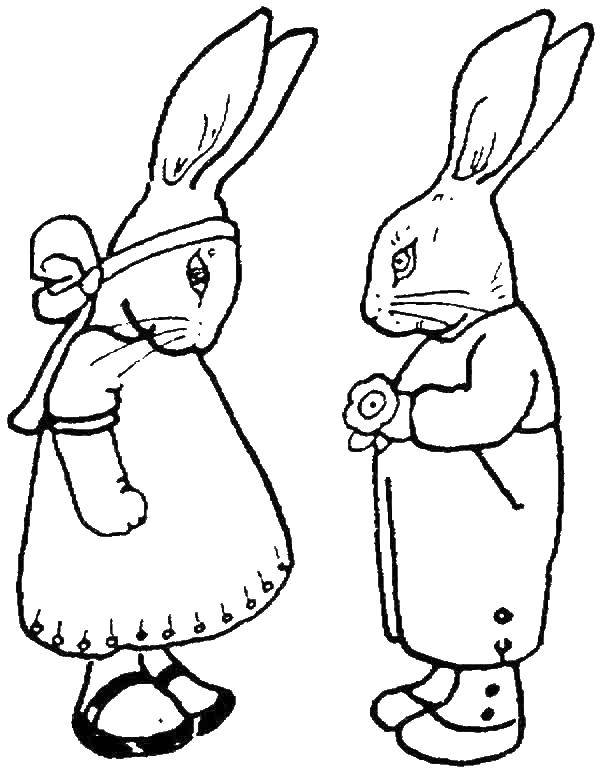 Название: Раскраска Кролики. Категория: кролик. Теги: кролик, заяц.