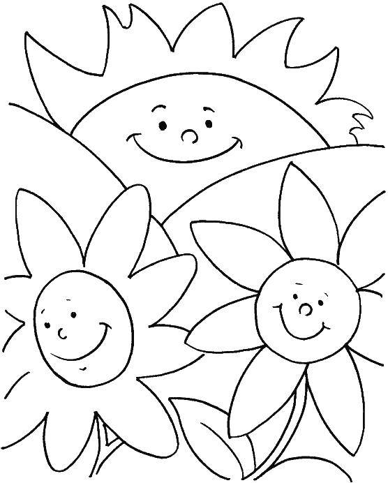 Coloring Smiling sun and flowers. Category summer. Tags:  Sun, rays, joy.