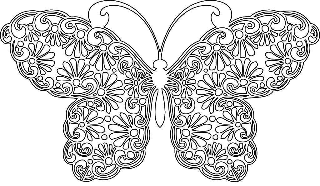 Coloring Butterfly. Category patterns. Tags:  butterfly.