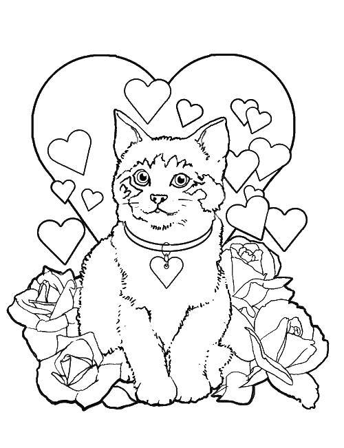 Coloring Кошечка с цветами. Category День святого валентина. Tags:  кошка, цветы, День святого валентина.