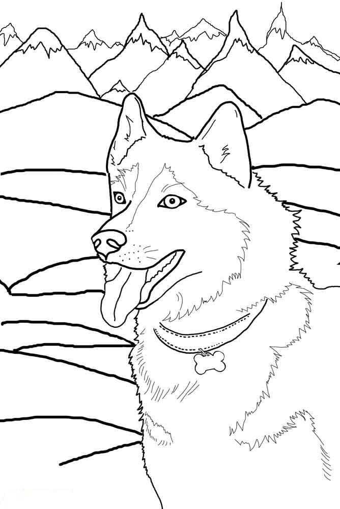 Coloring Wolf on the background of rocks. Category Animals. Tags:  wolf rocks.