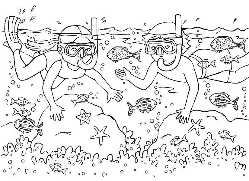 Название: Раскраска Дети в воде. Категория: Летние развлечения. Теги: дети, подводный мир, рыбы, дайвинг.