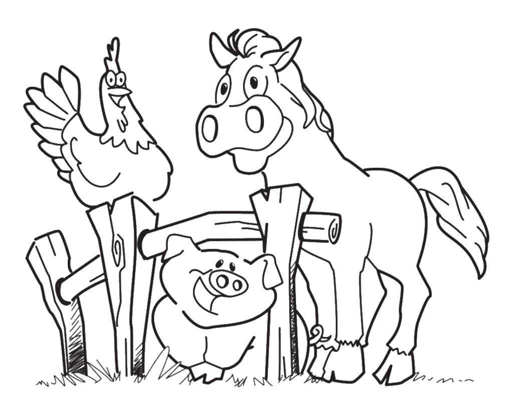 Название: Раскраска Ферма. Категория: ферма. Теги: ферма, животные, свинья, лошадь, петух.