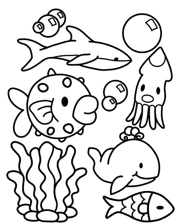 Coloring Underwater inhabitants. Category coloring. Tags:  underwater world, fish, squid, Dolphin, whale.