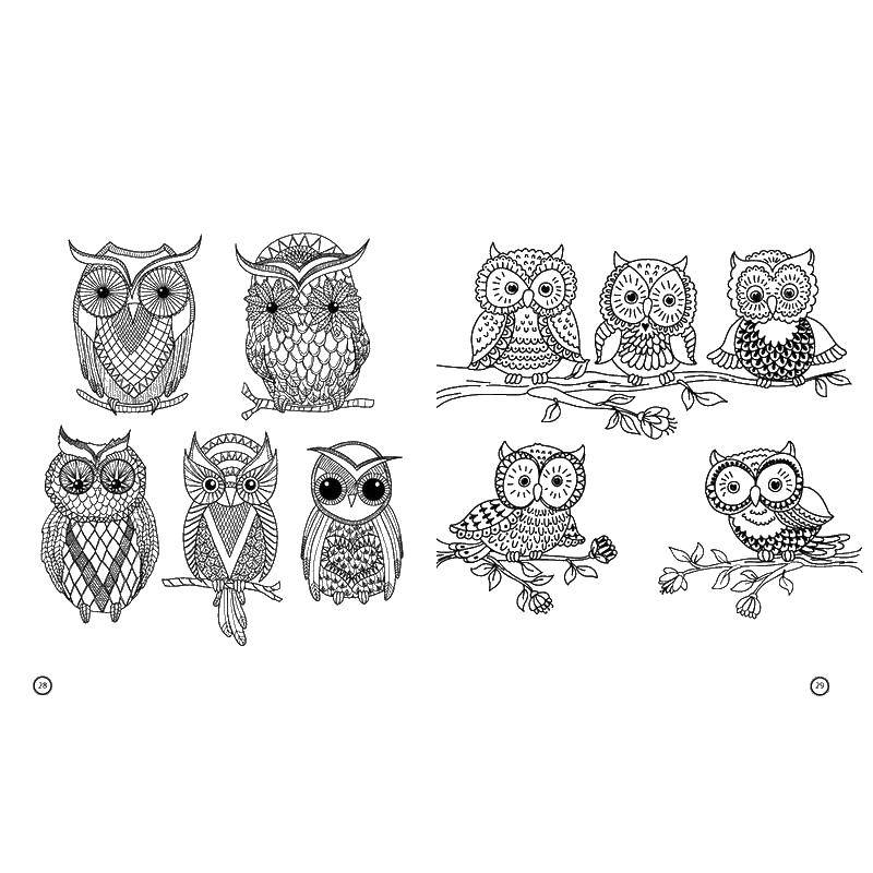 Coloring Owls. Category Animals. Tags:  owls.
