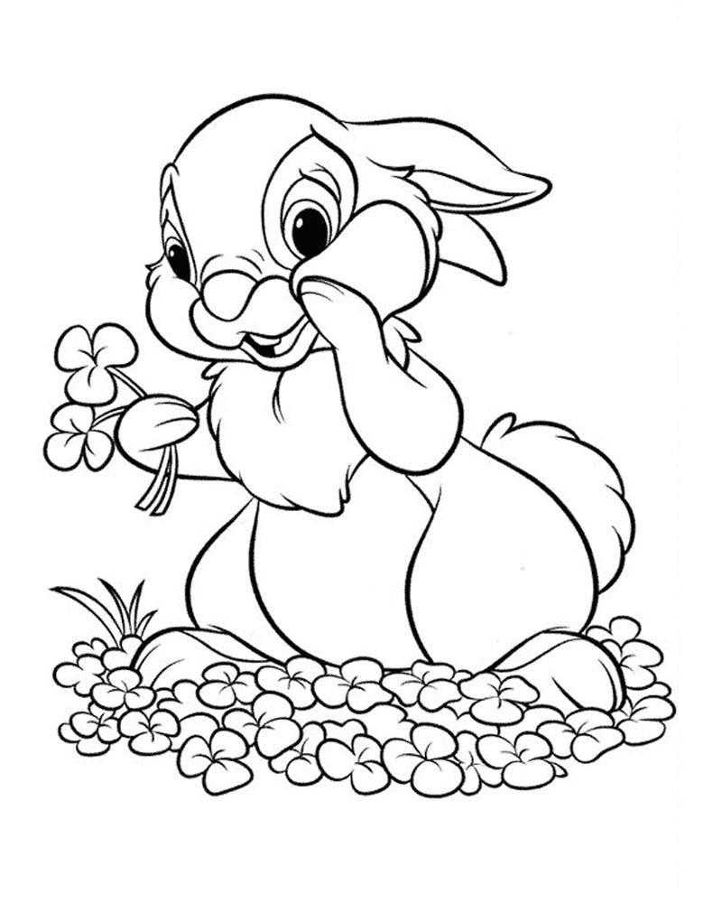 Coloring Bunny picking flowers. Category Animals. Tags:  hare, flowers.
