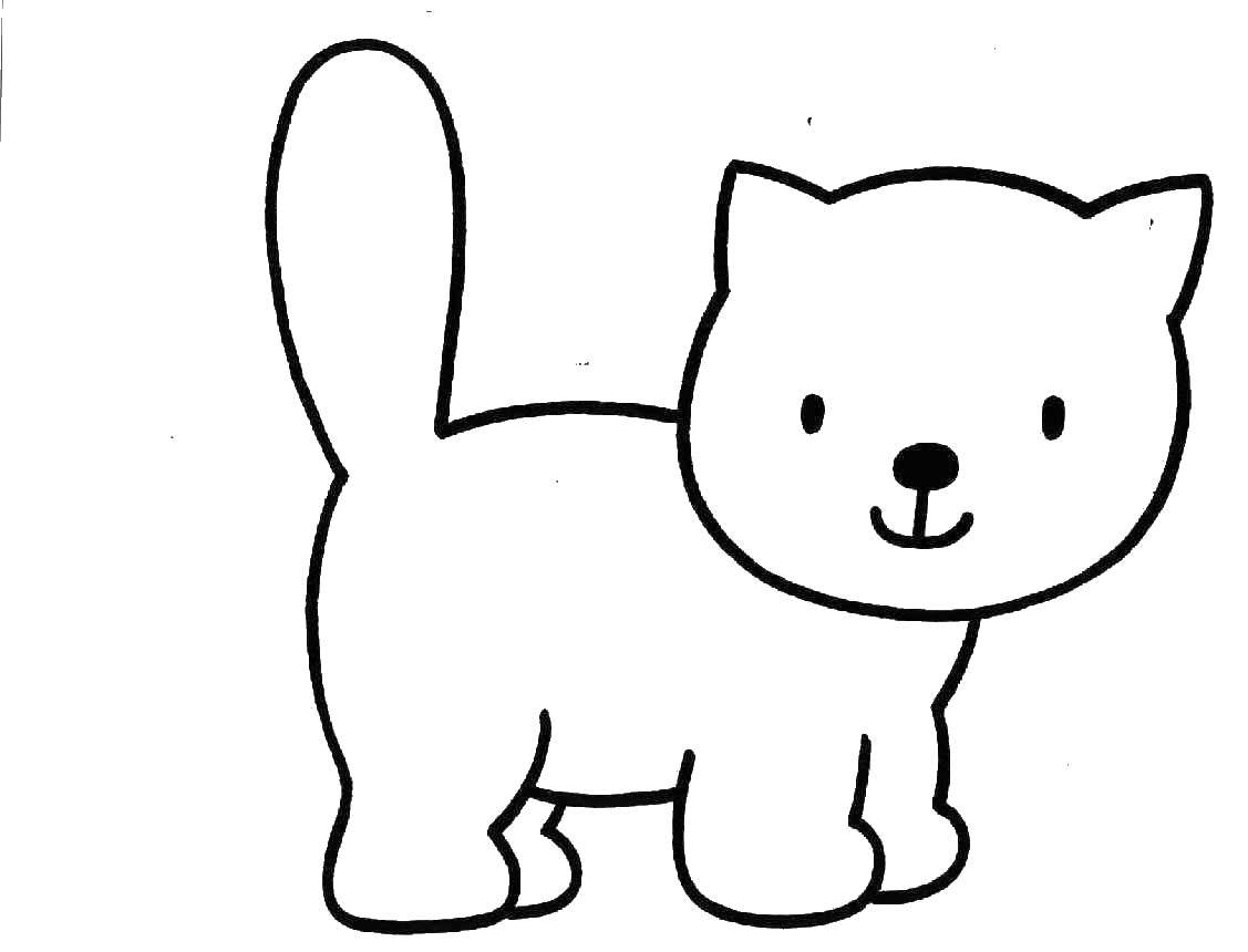 Coloring Cat. Category The cat. Tags:  cat, cat.