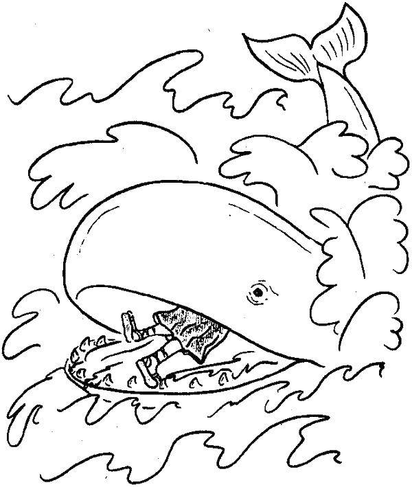 Название: Раскраска Кит проглотил человека. Категория: морское. Теги: морское, кит.