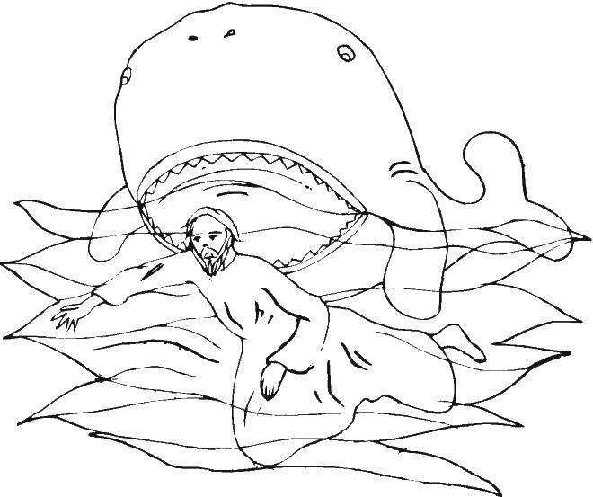 Название: Раскраска Кит плывет к человеку. Категория: морское. Теги: Морской мир, кит.