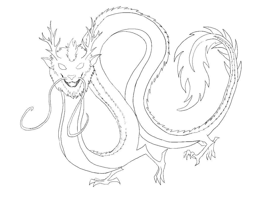 Coloring Dragon. Category Dragons. Tags:  dragons, dragon.