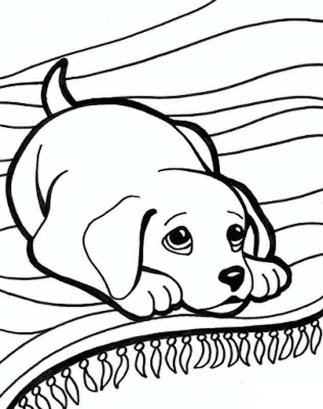 Coloring Cute puppy on the rug. Category Pets allowed. Tags:  puppy, blanket.