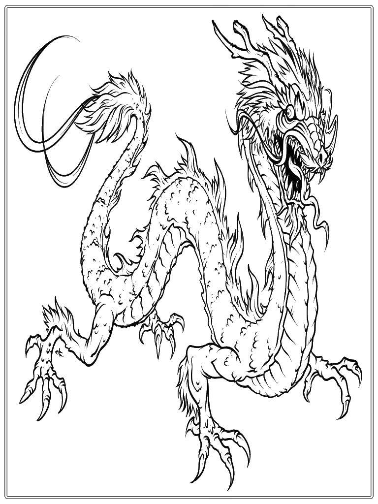 Coloring Dragon. Category the dragon. Tags:  dragon, language.