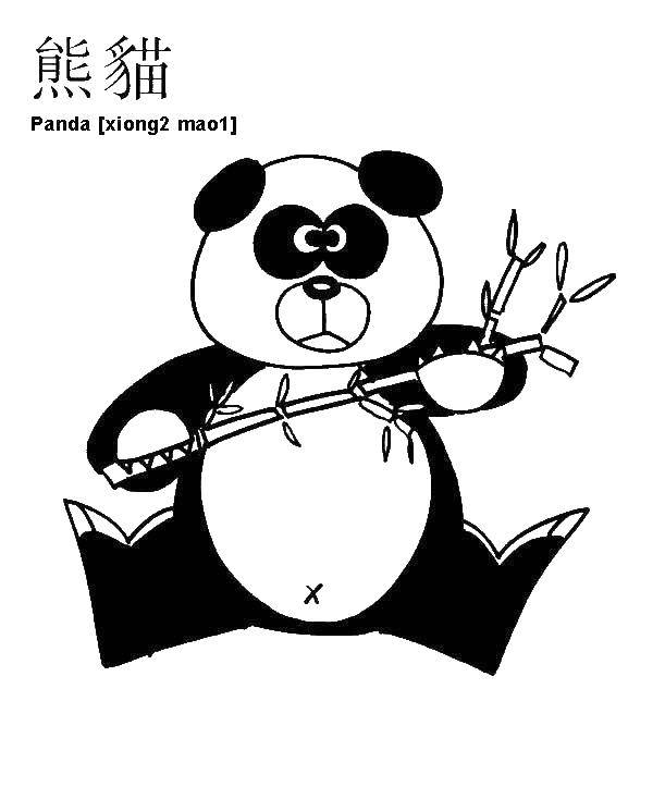 Название: Раскраска Панда ест тросник. Категория: Животные. Теги: панда, тросник.