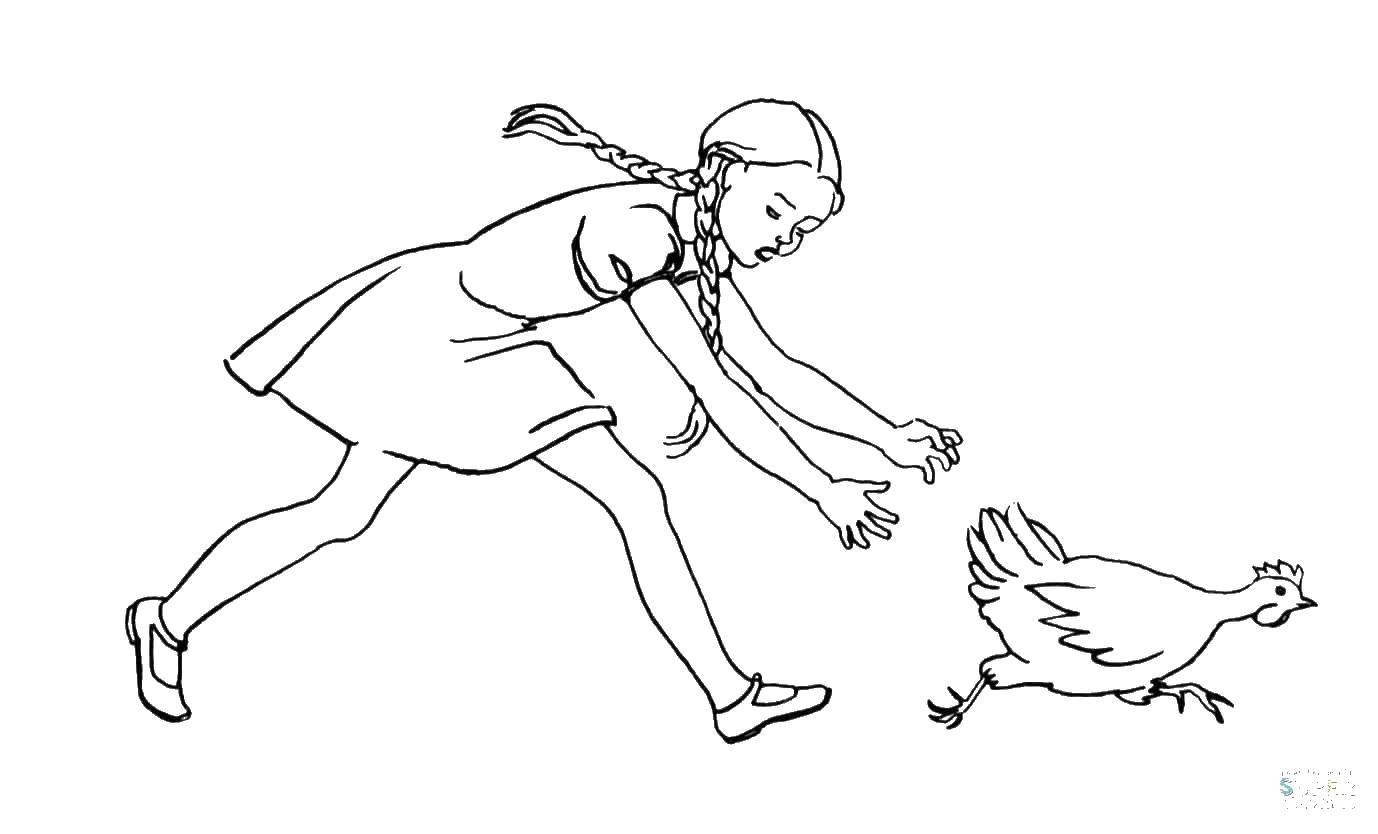 Coloring Girl catches a chicken. Category birds. Tags:  poultry, chicken.