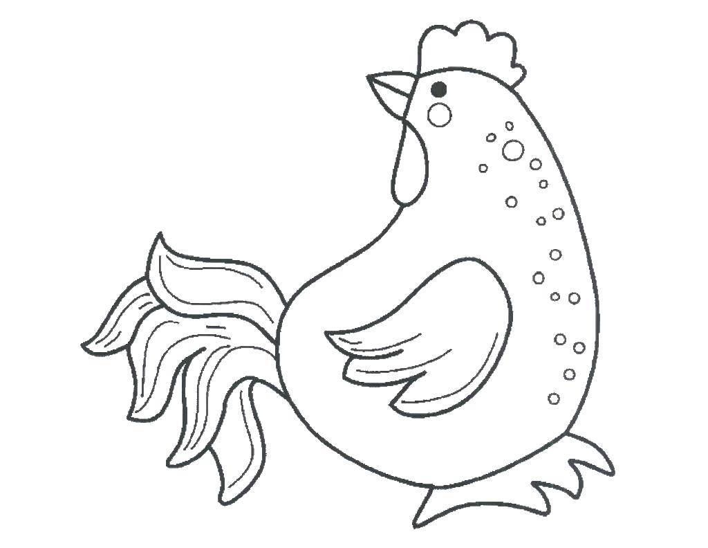Coloring Chicken. Category birds. Tags:  poultry, chicken.