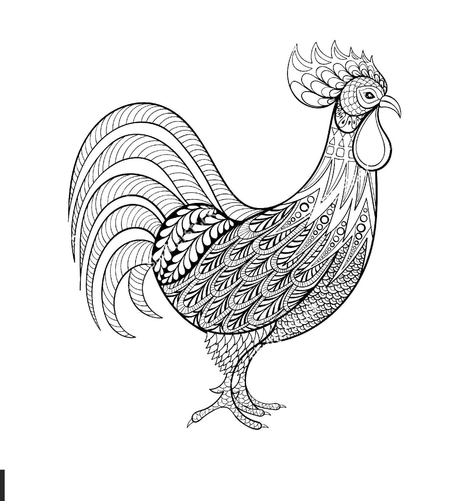 Coloring Cock. Category birds. Tags:  rooster, bird.