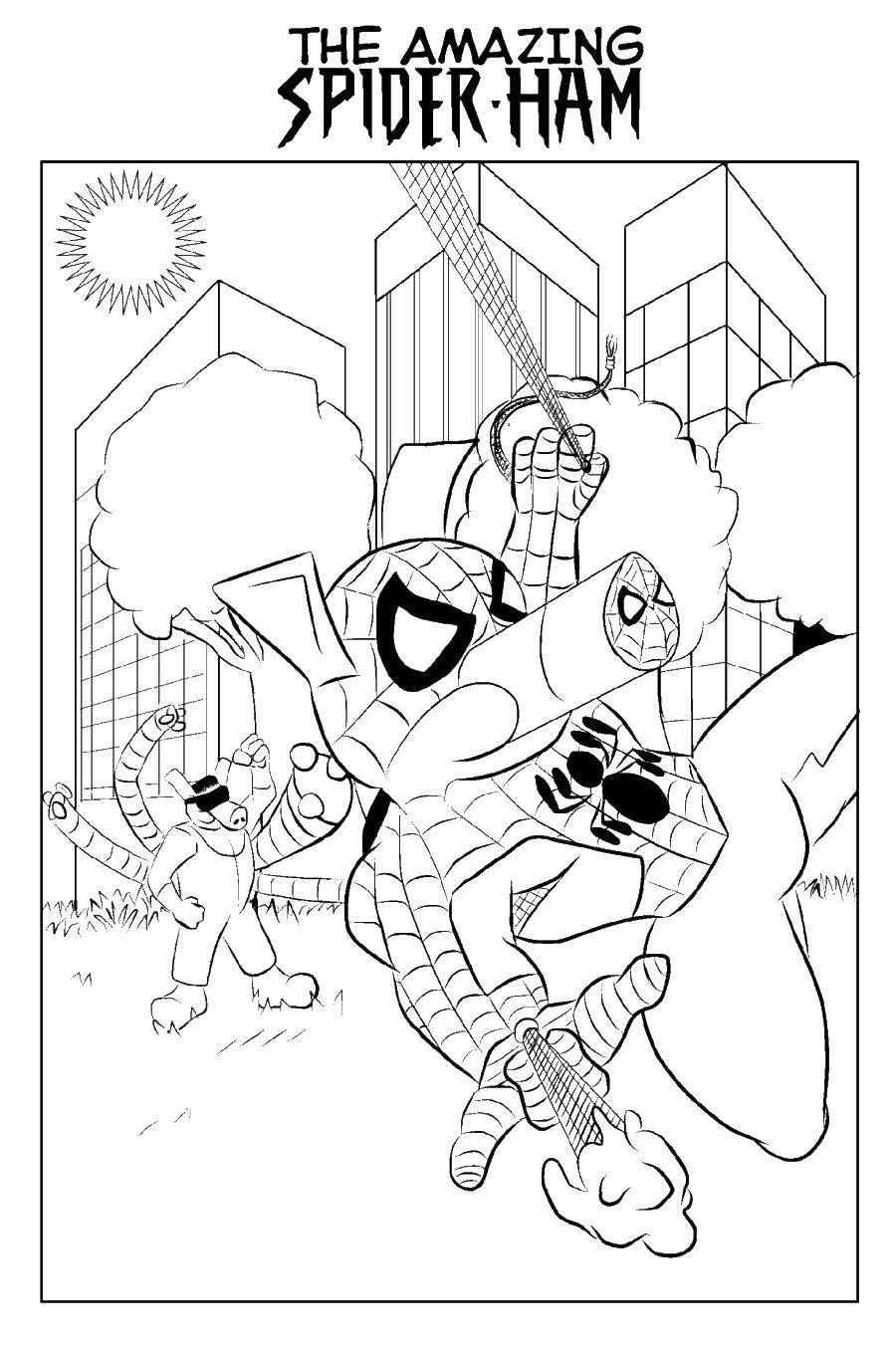 Название: Раскраска Человек паук. Категория: Комиксы. Теги: человек паук, паутина , супер герой.