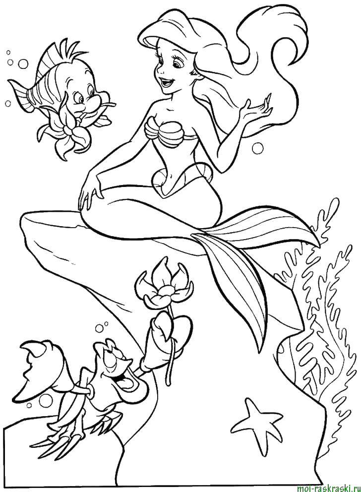 Coloring The little mermaid Ariel. Category cartoons. Tags:  Mermaid, Ariel.