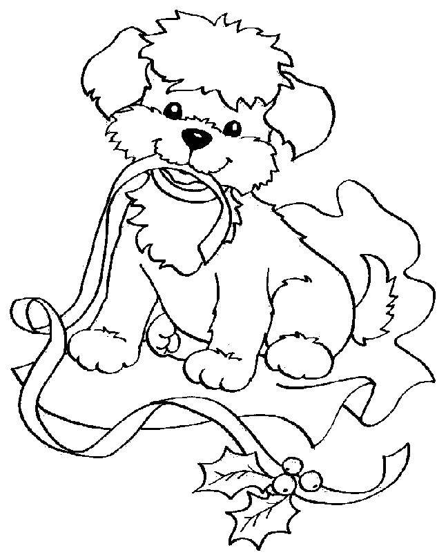 Название: Раскраска Щенок с лентой. Категория: домашние животные. Теги: собака, лента, листик.