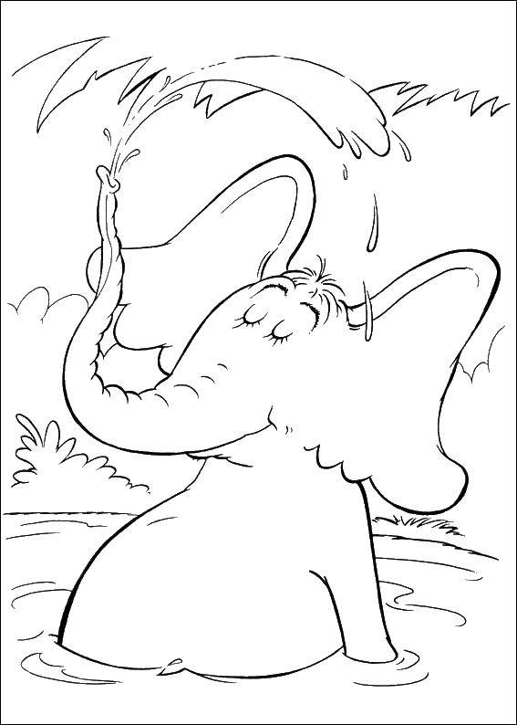 Coloring Elephant takes a shower. Category Animals. Tags:  the elephant, trunk, water.