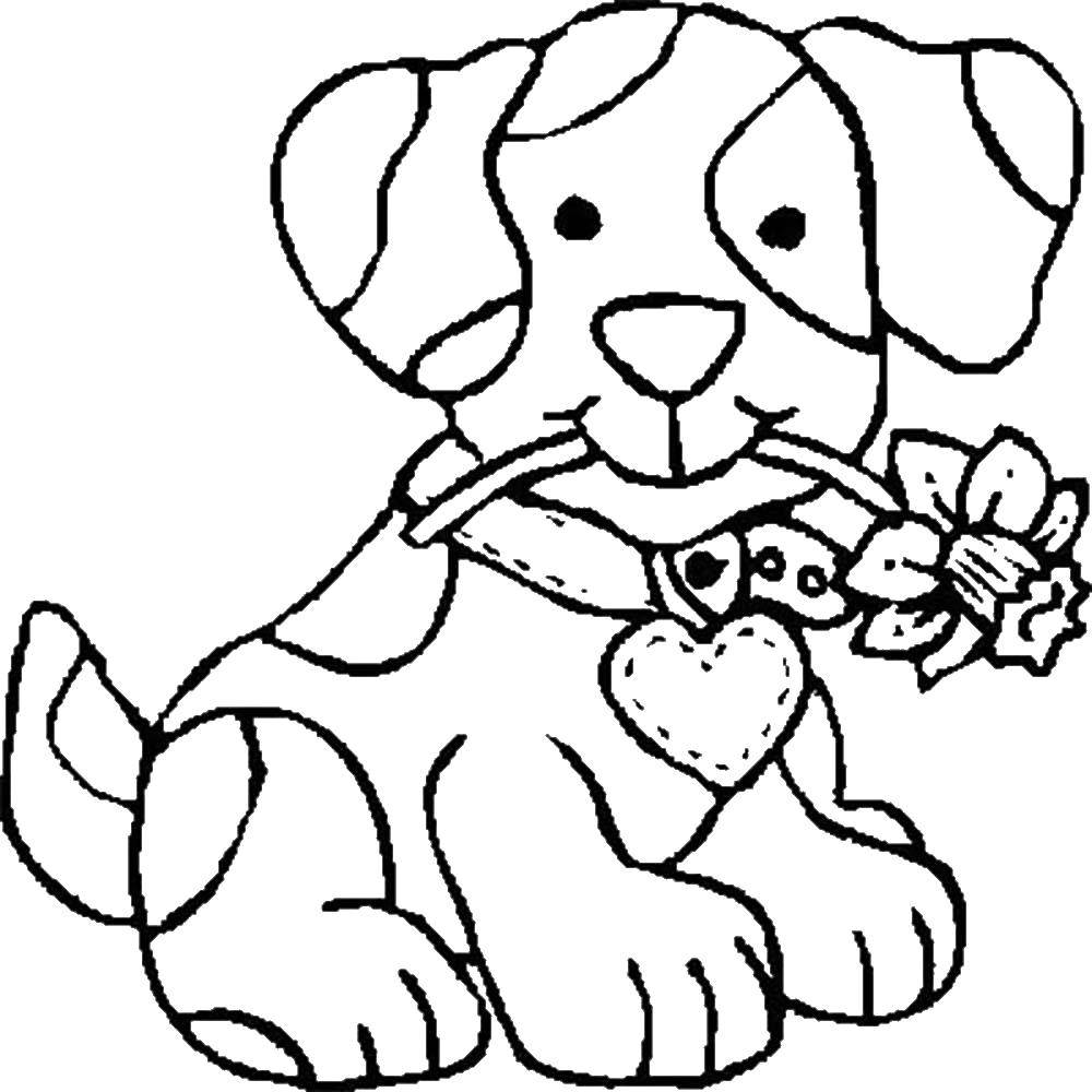 Название: Раскраска Собачка с цветком. Категория: домашние животные. Теги: собака, цветок, ошейник.