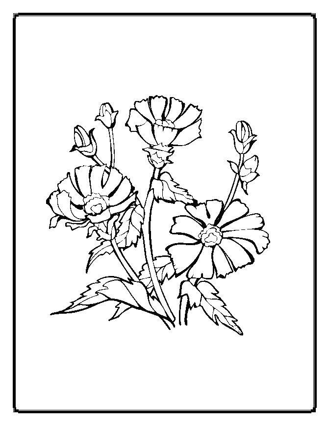 Coloring Flowers. Category The plant. Tags:  flower, petals.