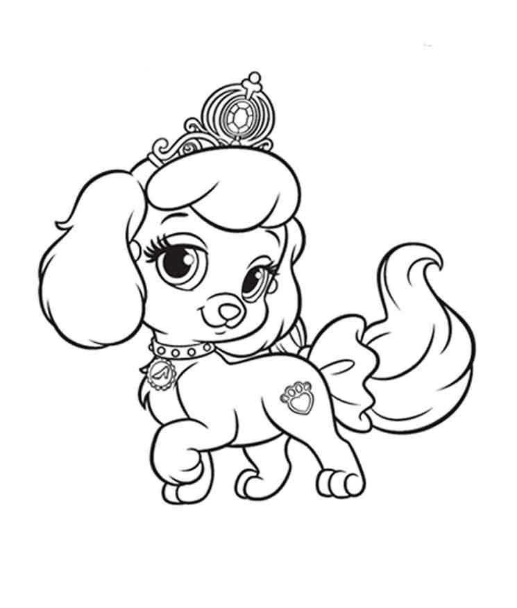 Coloring Dog with crown and collar. Category Pets allowed. Tags:  the dog.