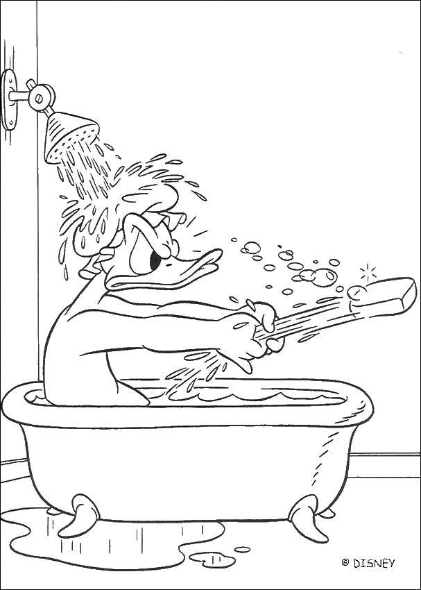 Название: Раскраска Дональд дак в ванне. Категория: Ванная комната. Теги: дональд, ванна, мыло, душ.