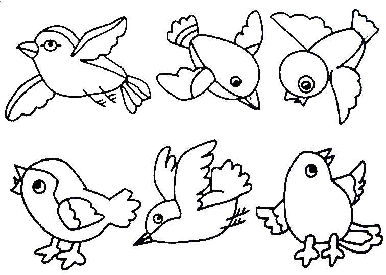 Coloring Fledglings. Category birds. Tags:  Sparrow, bird, beak.