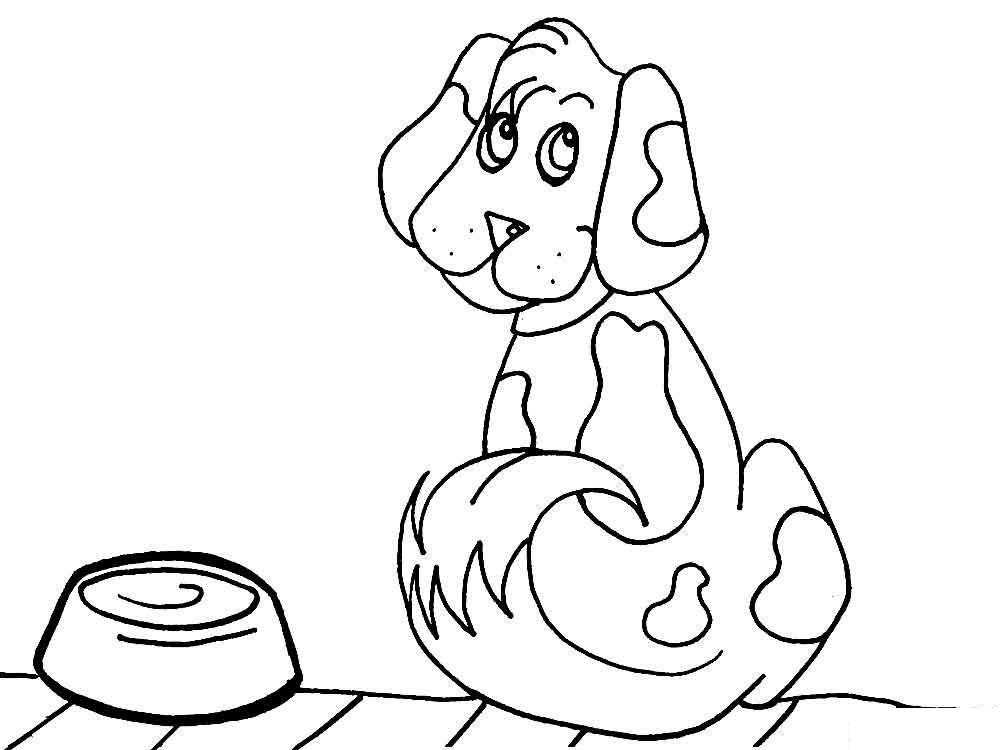 Coloring Dog bowl. Category Pets allowed. Tags:  the dog, bowl.