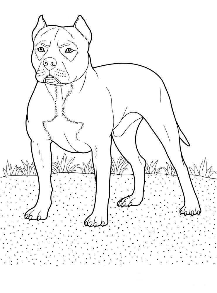 Coloring Dog. Category Pets allowed. Tags:  the dog.