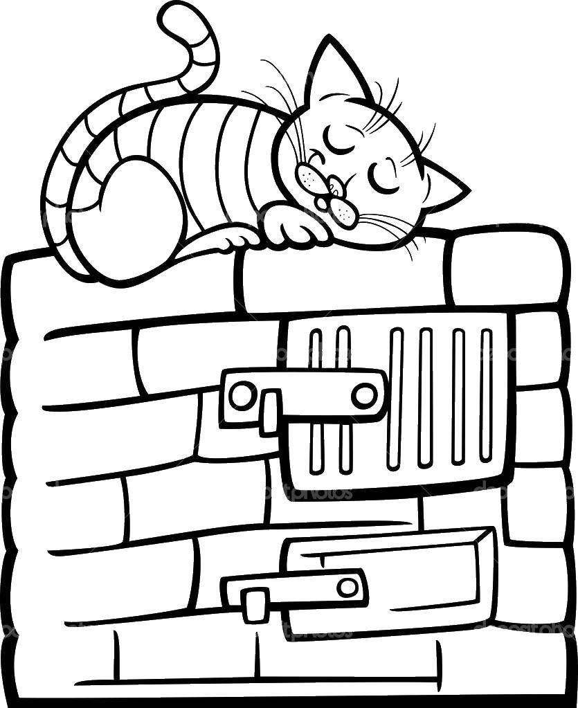 Розмальовки  Котик спить на печі. Завантажити розмальовку тварини, кіт, аечь.  Роздрукувати ,Коти та кошенята,
