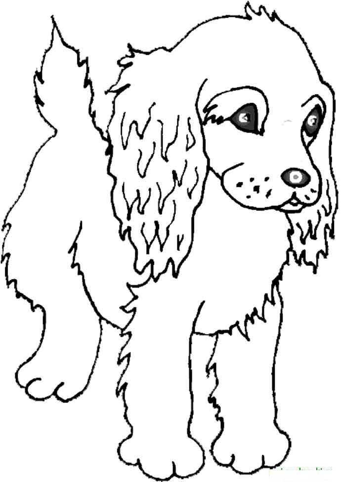 Название: Раскраска Большеухии щенок. Категория: домашние животные. Теги: щенок.