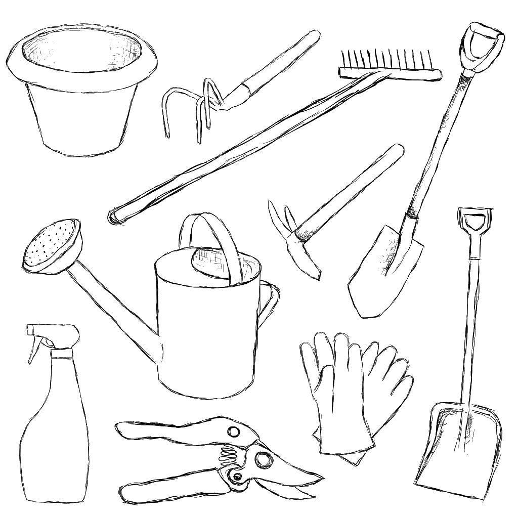 Название: Раскраска Инструменты для сада. Категория: инструменты. Теги: сад, инструменты.