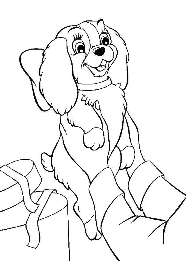 Coloring Dog. Category Animals. Tags:  animals, dog, doggie.