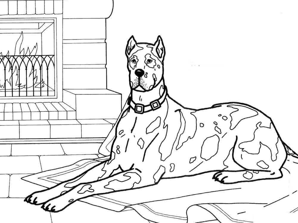 Название: Раскраска Собака у камина н ковре. Категория: домашние животные. Теги: собака.