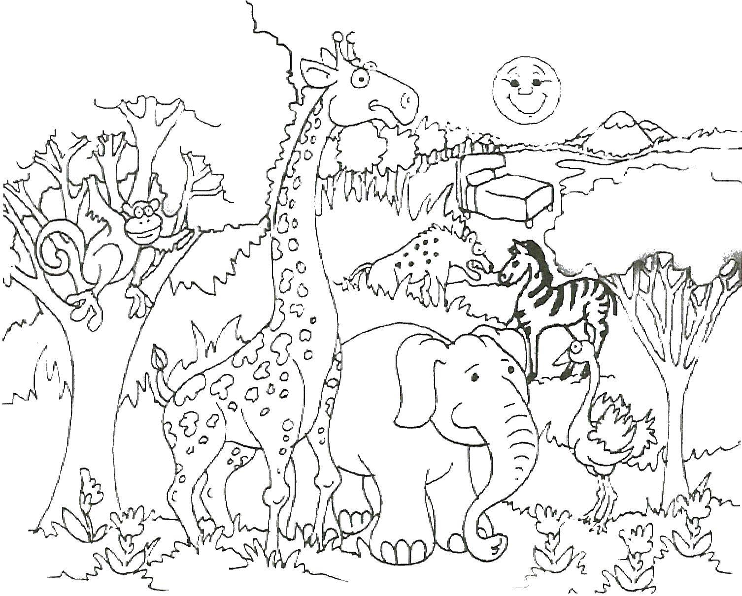 Coloring Animals zoo. Category Animals. Tags:  animals, zoo.