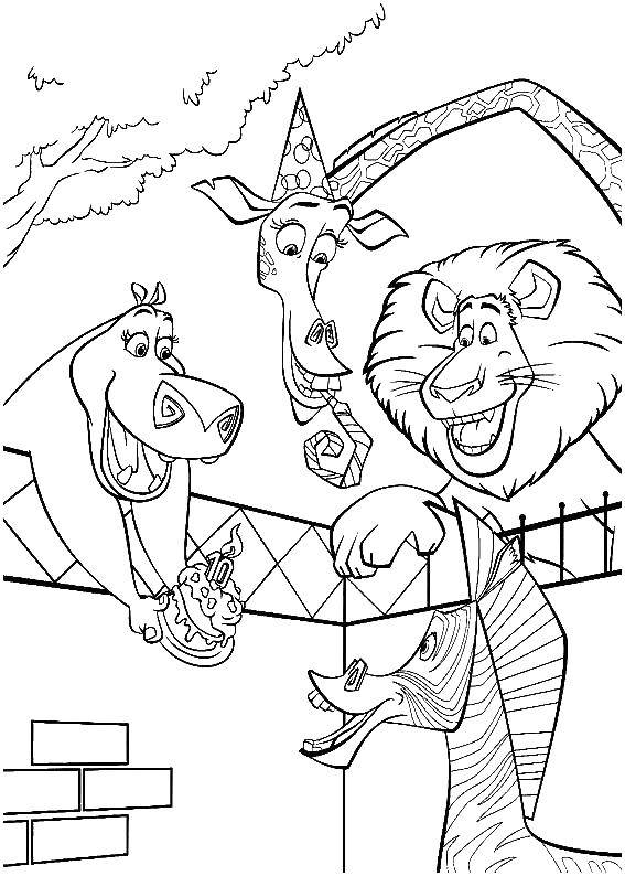 Coloring Madagascar. Category cartoons. Tags:  cartoons, Madagascar animals, .