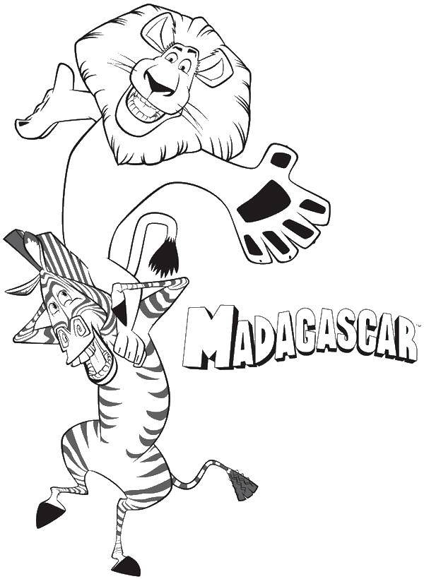 Название: Раскраска Мадагаскар. Категория: мультфильмы. Теги: мультфильмы, Мадагаскар, животные.