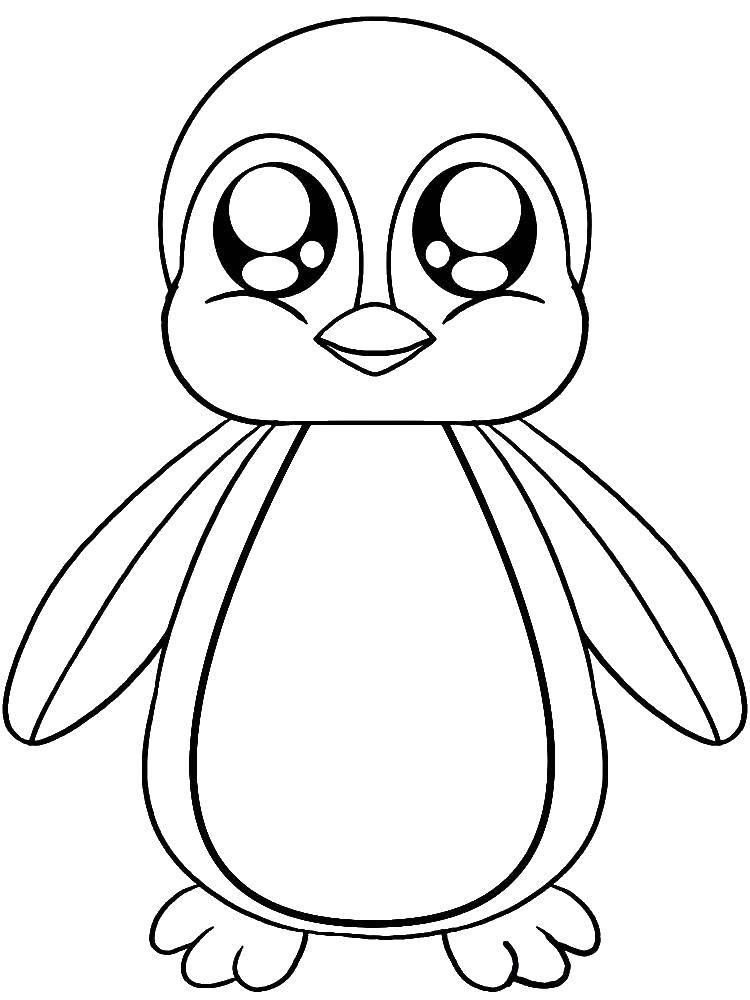 Coloring Penguin. Category the penguin. Tags:  The penguin.